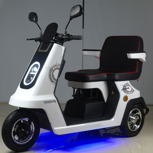 800W 48V 30A High quality City 3-wheel electric scooter